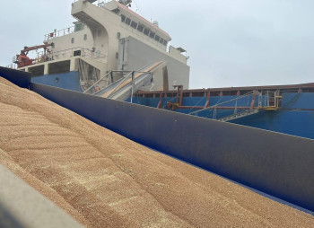 Agromino Plans to Sell Grain Terminal and Warehouses at Chornomorsk Port